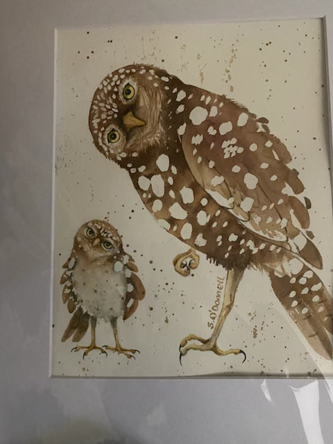 Original Owls Water Color O'Donnell