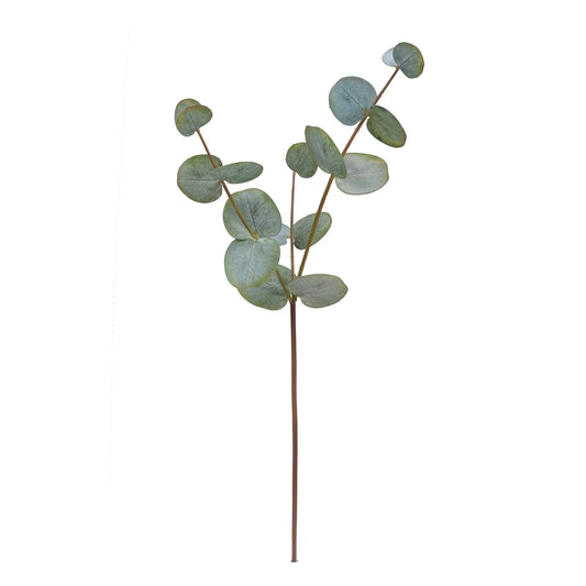 Eucalyptus Branch 18"